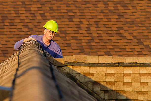 Roof Gutter Cleaning in Contoocook, NH